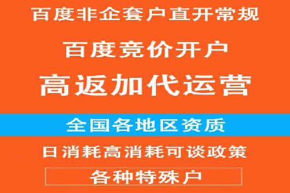 百度广告推广在旅游行业的成功案例